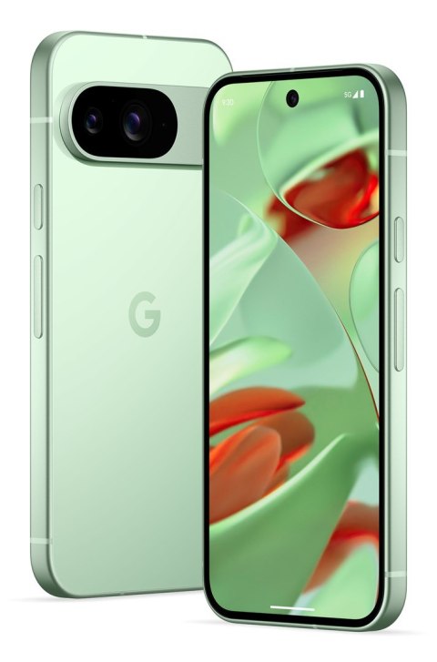 Google Smartfon Google Pixel 9 5G DualSIM 12/128GB Winter Green Google Smartfon Google Pixel 9 5G DualSIM 12/128GB Winter Green
