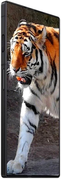 REDMAGIC REDMAGIC 8S Pro 5G 12/256GB Platinum