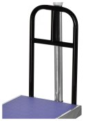Wagi Tarczyn Waga platformowa WAGI TARCZYN WT-123 300kg