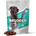 CONTIPRO GELOREN Large Dog Suplement dla psa - 420g
