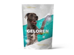 CONTIPRO GELOREN Large Dog Suplement dla psa - 420g