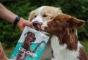 CONTIPRO GELOREN Large Dog Suplement dla psa - 420g