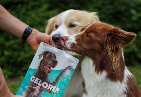 CONTIPRO GELOREN Large Dog Suplement dla psa - 420g CONTIPRO GELOREN Large Dog Suplement dla psa - 420g
