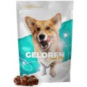 CONTIPRO GELOREN Small Dog Suplement dla psa - 180g