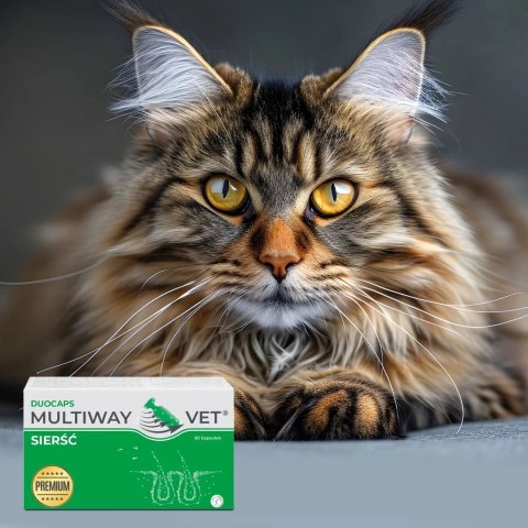JM Sante JM SANTE MULTIWAY DUOCAPS SIERŚĆ 60 kaps JM Sante JM SANTE MULTIWAY DUOCAPS SIERŚĆ 60 kaps