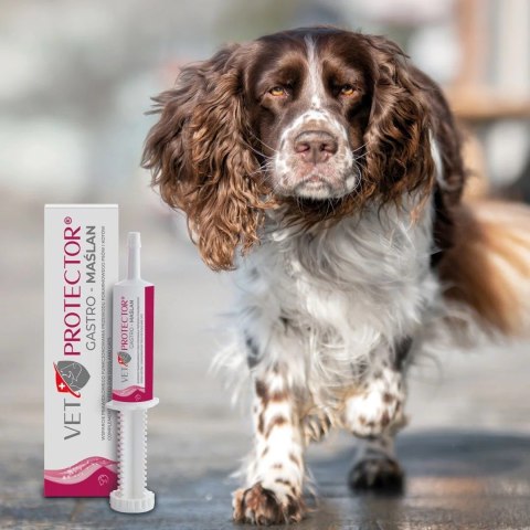 JM Sante JM SANTE VET PROTECTOR GASTRO - MAŚLAN 60 ml JM Sante JM SANTE VET PROTECTOR GASTRO - MAŚLAN 60 ml