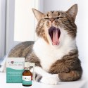 JM Sante JM SANTE VET PROTECTOR JAMA USTNA SPRAY 30ml