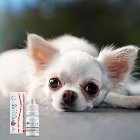 JM Sante JM SANTE VET PROTECTOR OCZY LIGO krople do oczu 3ml JM Sante JM SANTE VET PROTECTOR OCZY LIGO krople do oczu 3ml