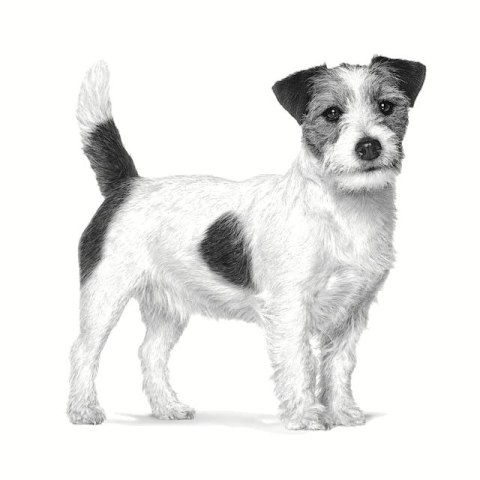 Royal Canin ROYAL CANIN Gastrointestinal Low Fat Small 1,5kg Royal Canin ROYAL CANIN Gastrointestinal Low Fat Small 1,5kg