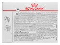 Royal Canin ROYAL CANIN Intestinal Gastro Moderate Calorie Cat - mokra karma dla kota - 12x85g