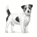 Royal Canin ROYAL CANIN VHN Dog Anallergenic Small 1,5kg
