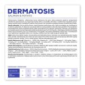VetExpert VetExpert Veterinary Diet Dermatosis dog Salmon&Potato 2kg