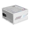 Gigabyte Zasilacz Gigabyte AORUS ELITE P1000W 80+ Platinum Modular PCIe 5.0 ICE (GP-AE1000PM PG5 ICE)