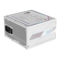 Gigabyte Zasilacz Gigabyte Aorus Elite Platinum ATX 3.1 ICE 850W