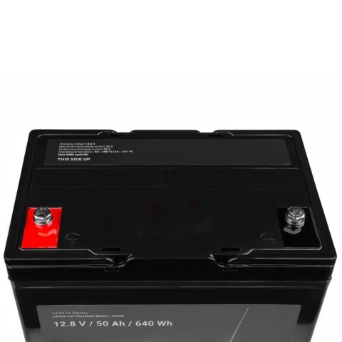 Green Cell GREEN CELL AKUMULATOR LIFEPO4 CAV06 12/12,8V 50AH 640WH / M8 Green Cell GREEN CELL AKUMULATOR LIFEPO4 CAV06 12/12,8V 50AH 640WH / M8