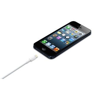 Apple Lightning to USB Cable (0.5 m) Apple Lightning to USB Cable (0.5 m)