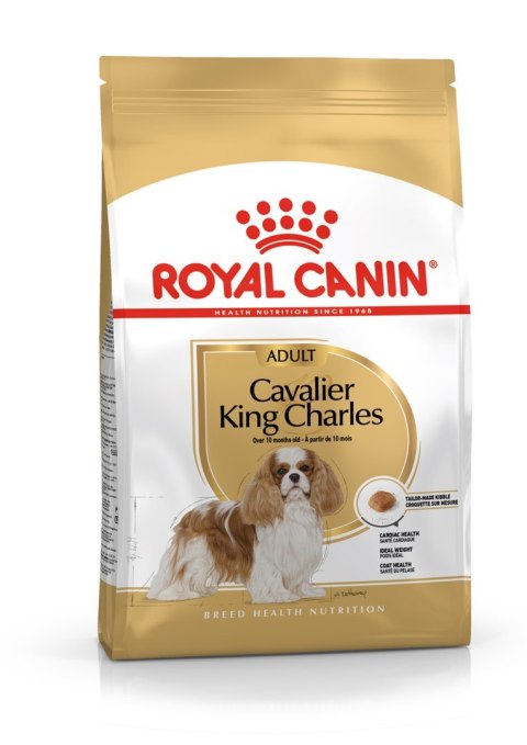 Royal Canin ROYAL CANIN BHN Cavalier King Charles Spaniel Adult - sucha karma dla psa dorosłego - 1,5kg Royal Canin ROYAL CANIN BHN Cavalier King Charles Spaniel Adult - sucha karma dla psa dorosłego - 1,5kg