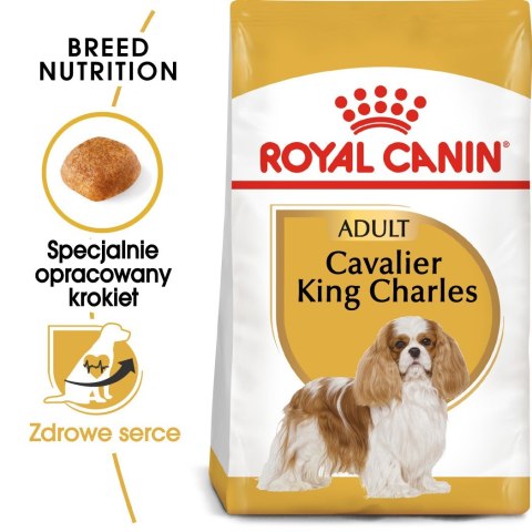 Royal Canin ROYAL CANIN BHN Cavalier King Charles Spaniel Adult - sucha karma dla psa dorosłego - 1,5kg Royal Canin ROYAL CANIN BHN Cavalier King Charles Spaniel Adult - sucha karma dla psa dorosłego - 1,5kg
