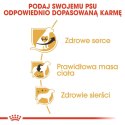 Royal Canin ROYAL CANIN BHN Cavalier King Charles Spaniel Adult - sucha karma dla psa dorosłego - 1,5kg