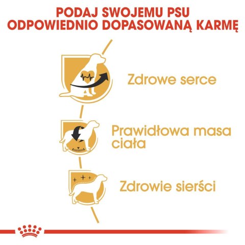 Royal Canin ROYAL CANIN BHN Cavalier King Charles Spaniel Adult - sucha karma dla psa dorosłego - 1,5kg Royal Canin ROYAL CANIN BHN Cavalier King Charles Spaniel Adult - sucha karma dla psa dorosłego - 1,5kg