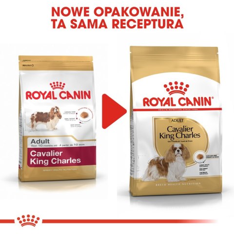 Royal Canin ROYAL CANIN BHN Cavalier King Charles Spaniel Adult - sucha karma dla psa dorosłego - 1,5kg Royal Canin ROYAL CANIN BHN Cavalier King Charles Spaniel Adult - sucha karma dla psa dorosłego - 1,5kg