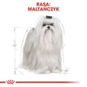 Royal Canin ROYAL CANIN BHN Maltese Adult - sucha karma dla psa dorosłego - 1,5kg