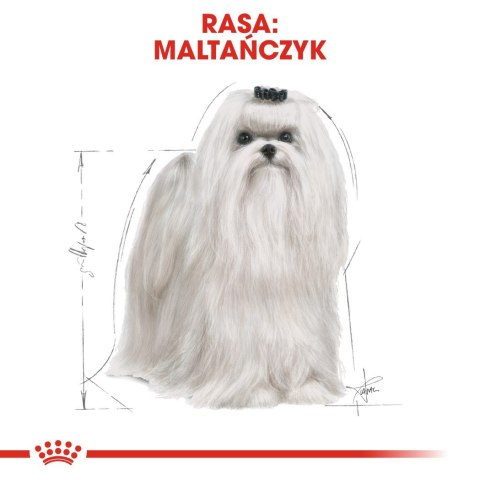 Royal Canin ROYAL CANIN BHN Maltese Adult - sucha karma dla psa dorosłego - 1,5kg Royal Canin ROYAL CANIN BHN Maltese Adult - sucha karma dla psa dorosłego - 1,5kg