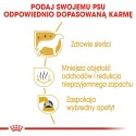 Royal Canin ROYAL CANIN BHN Maltese Adult - sucha karma dla psa dorosłego - 1,5kg