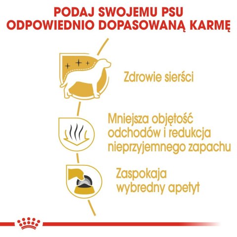 Royal Canin ROYAL CANIN BHN Maltese Adult - sucha karma dla psa dorosłego - 1,5kg Royal Canin ROYAL CANIN BHN Maltese Adult - sucha karma dla psa dorosłego - 1,5kg
