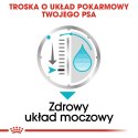 Royal Canin ROYAL CANIN CCN Urinary Care Loaf - mokra karma dla psa dorosłego - 12x85g