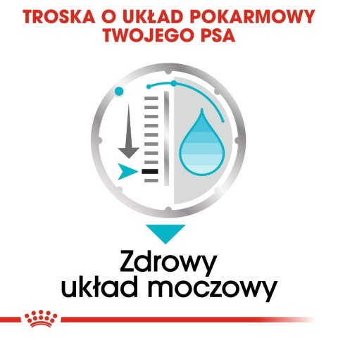 Royal Canin ROYAL CANIN CCN Urinary Care Loaf - mokra karma dla psa dorosłego - 12x85g Royal Canin ROYAL CANIN CCN Urinary Care Loaf - mokra karma dla psa dorosłego - 12x85g