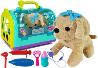 LEAN Toys Zestaw Weterynarz z Pieskiem i Transporterem