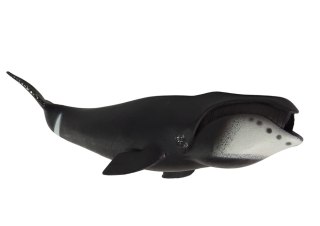 LEAN Toys Duża Figurka Kolekcjonerska Wieloryb Grenlandzki