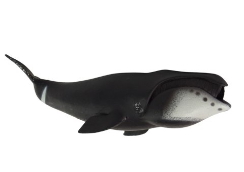 LEAN Toys Duża Figurka Kolekcjonerska Wieloryb Grenlandzki