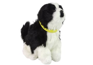 LEAN Toys Interaktywny Pies Piesek Border Collie Pluszowy Szczeka Rusza Ogonem