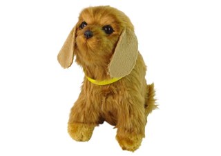 LEAN Toys Interaktywny Pies Piesek Cocker Spaniel Pluszowy Szczeka Rusza Ogonem