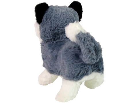 LEAN Toys Interaktywna Maskotka Pies Husky Chodzi Porusza Ogonem Dźwięk