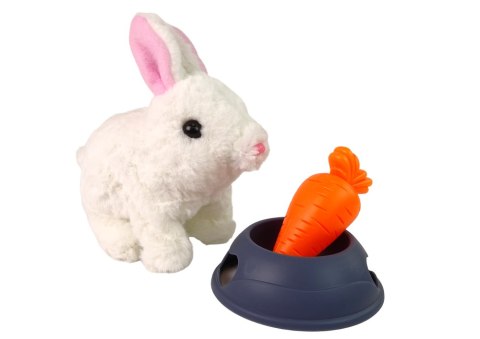 LEAN Toys Maskotka Interaktywna Króliczek Królik Biały Miska Marchewka