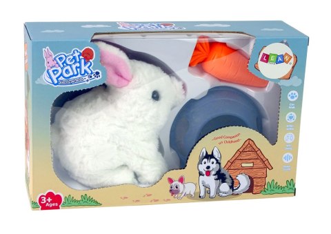 LEAN Toys Maskotka Interaktywna Króliczek Królik Biały Miska Marchewka