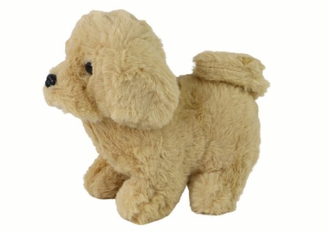 LEAN Toys Chodzący Piesek Zabawka Interaktywna Szczekający Beżowy