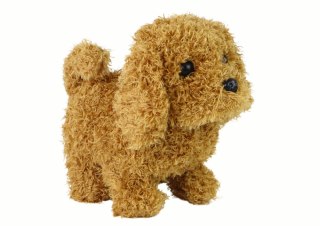 LEAN Toys Chodzący Piesek Zabawka Interaktywna Szczekający Szczeniak Brązowy