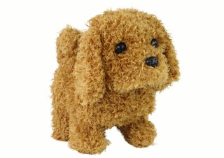 LEAN Toys Chodzący Piesek Zabawka Interaktywna Szczekający Szczeniak Brązowy