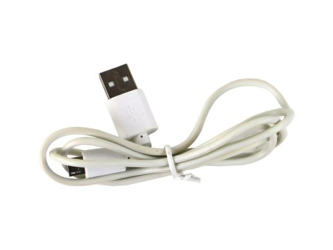 LEAN Toys Lampka Jajko Dinozaur Pterozaur LED Micro USB