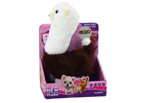 LEAN Toys Interaktywne Zwierzątko Lama Alpaka Chodzi Gra Brązowa 23 cm