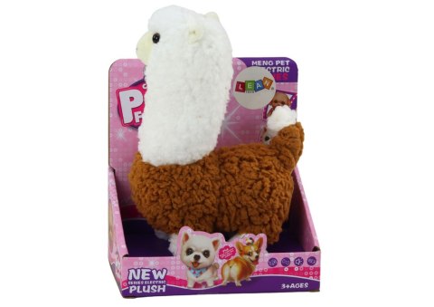 LEAN Toys Lama Interaktywne Zwierzątko Alpaka Brązowa Chodzi Gra 23 cm