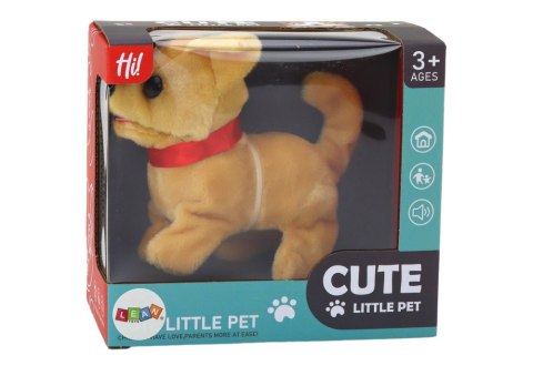 LEAN Toys Piesek Pluszowy Interaktywny Zwierzątko Chodzi Szczeka Beżowy