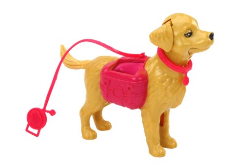 LEAN Toys Zestaw Lalka Z Psami Kot Karma Weterynarz Akcesoria