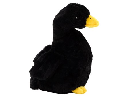 LEAN Toys Pluszowa Gęś Maskotka Czarna Przytulanka Pluszak Kaczka 40 cm