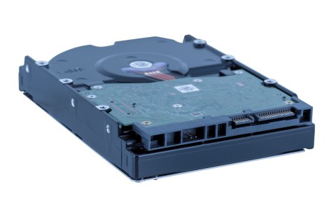 Dysk HDD WD Red Plus WD80EFPX (8 TB ; 3.5"; 256 MB; 5640 obr/min) Dysk HDD WD Red Plus WD80EFPX (8 TB ; 3.5"; 256 MB; 5640 obr/min)