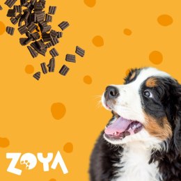 ZOYA ZOYA COLDPRO Jagnięcina sucha karma dla psa 1kg